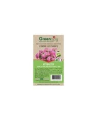Phéromones Frankliniella occidentalis-Thrips  - (2 capsules)