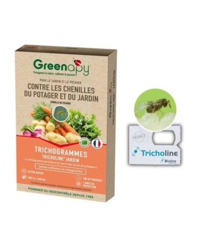 Tricholine® jardin, 4 diffuseurs contre les chenilles du potager