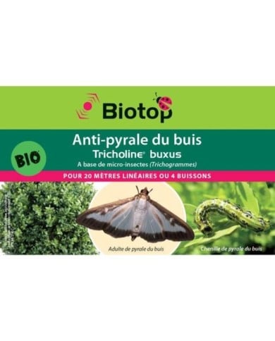 Anti-pyrale du buis -  Tricholine Buxus - 4 diffuseurs