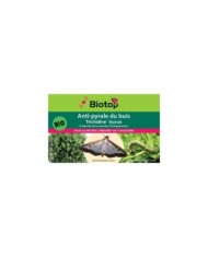 Anti-pyrale du buis -  Tricholine Buxus - 4 diffuseurs