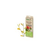 Pièges d'interieur pucerons, mouches, aleurodes (12 pièges+6 tuteurs)