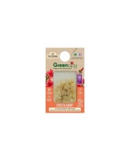 Coccilaure® anti-pucerons Plantes basses, rosiers, lauriers roses 50 larves  Vivapack®