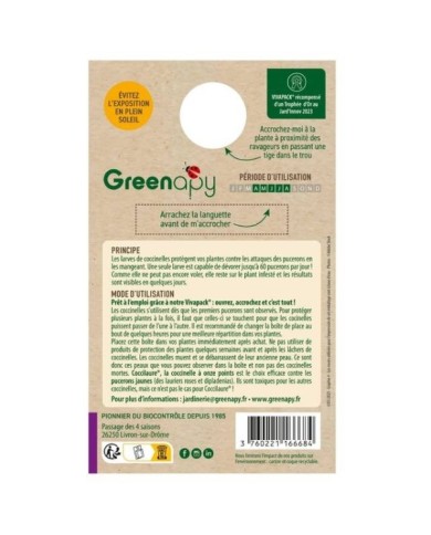 Coccilaure® anti-pucerons Plantes basses, rosiers, lauriers roses 50 larves  Vivapack®