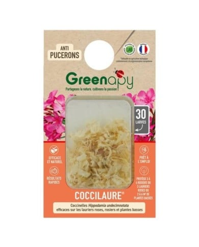 Coccilaure® anti-pucerons Plantes basses, rosiers, lauriers roses 30 larves Vivapack®