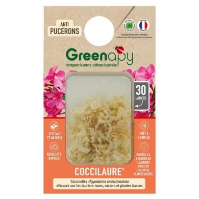 Coccilaure® anti-pucerons Plantes basses, rosiers, lauriers roses 30 larves Vivapack®