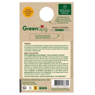 Coccilaure® anti-pucerons Plantes basses, rosiers, lauriers roses 30 larves Vivapack®