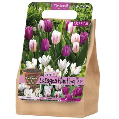 Kit Lasagne Rembrandt - lot de 18 bulbes