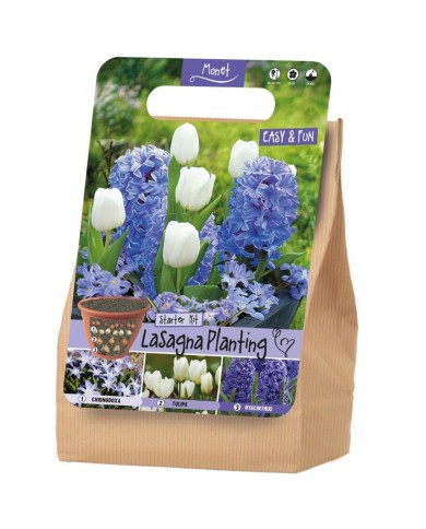 Kit Lasagne Monet - lot de 20 bulbes