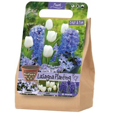 Kit Lasagne Monet - lot de 20 bulbes