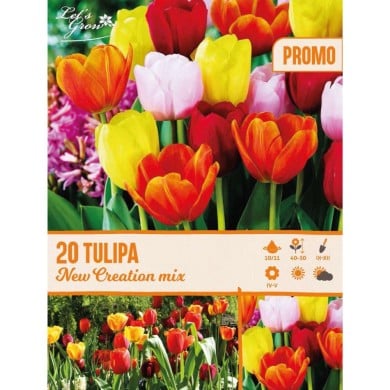 Tulipes Darwin en mélange - lot de 20 bulbes