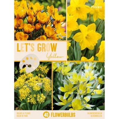 Let's Grow - Jaune - lot de 40 bulbes