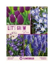 Let's Grow - Bleu - lot de 40 bulbes