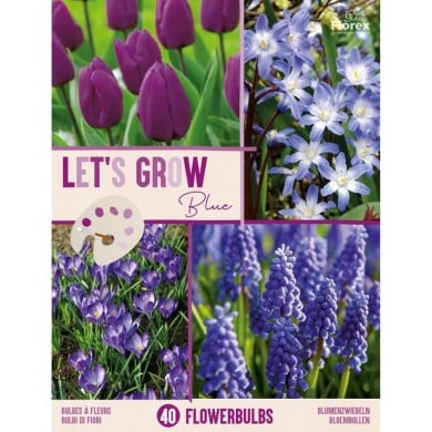 Let's Grow - Bleu - lot de 40 bulbes