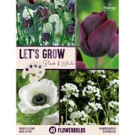 Let's Grow - Noir & Blanc - lot de 40 bulbes