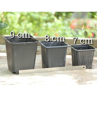 Comparatif godets de 9 cm - 8 cm et 7 cm de côté