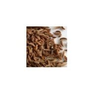 Cumin des prés BIO - Carum carvi - graines (pixabay.com)