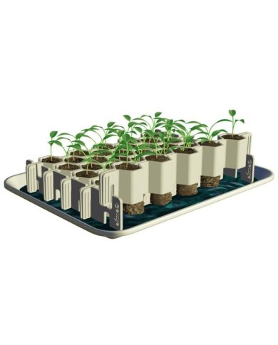 Jeu de 3 kits de germination : S + M + L