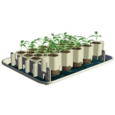 Jeu de 3 kits de germination : S + M + L