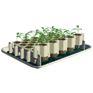 Jeu de 3 kits de germination : S + M + L