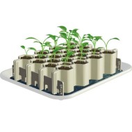 Jeu de 3 kits de germination : S + M + L
