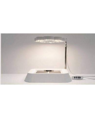 Set accessoires pour germination à chaud : base + plateau + tapis chauffant + lampe LED