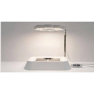 Set accessoires pour germination à chaud : base + plateau + tapis chauffant + lampe LED