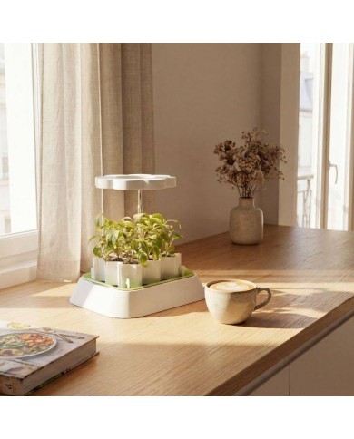 Set accessoires pour germination à chaud : base + plateau + tapis chauffant + lampe LED