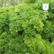 Kit de graines - Mon premier potager