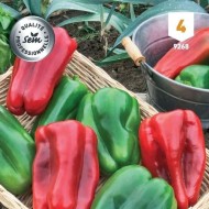Kit de graines - Mes légumes du Soleil