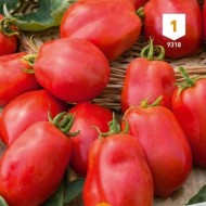 Kit de graines - Mes légumes du Soleil