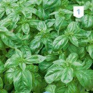Kit de graines - Mes plantes aromatiques à semer