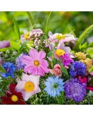 Kit de graines - Mes bouquets d'été