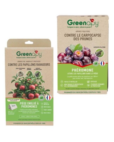 Kit contre le carpocapse des prunes - Petit jardin