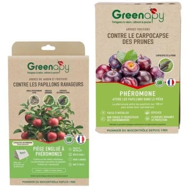 Kit contre le carpocapse des prunes - Petit jardin