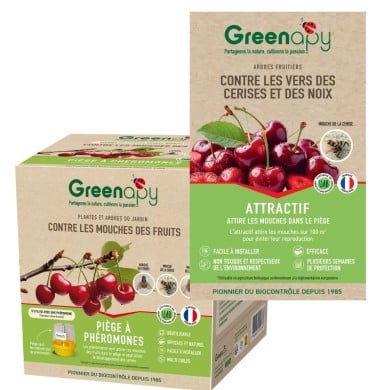 Kit piège mouche de la cerise - Petit jardin
