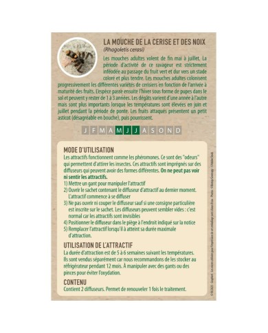 Kit piège mouche de la cerise - Petit jardin