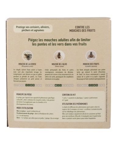 Kit piège mouche de l'olive - Petit jardin