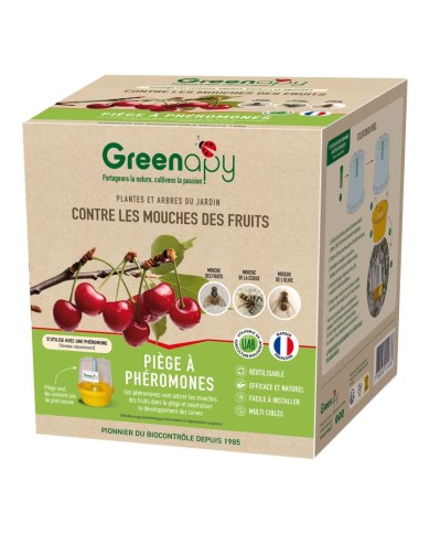 Kit piège mouche de l'olive - Petit jardin