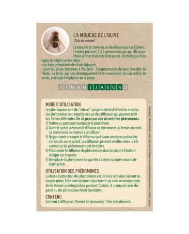 Kit piège mouche de l'olive - Petit jardin