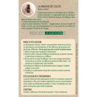 Kit piège mouche de l'olive - Petit jardin
