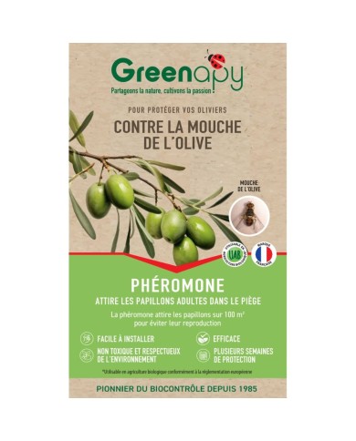 Kit piège mouche de l'olive - Petit jardin