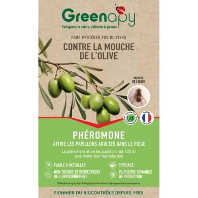 Kit piège mouche de l'olive - Petit jardin