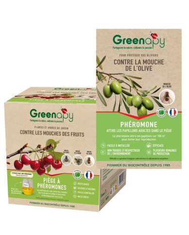 Kit piège mouche de l'olive - Petit jardin