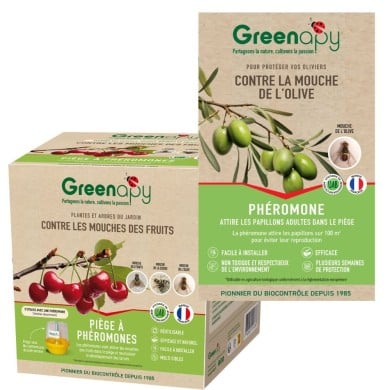 Kit piège mouche de l'olive - Petit jardin