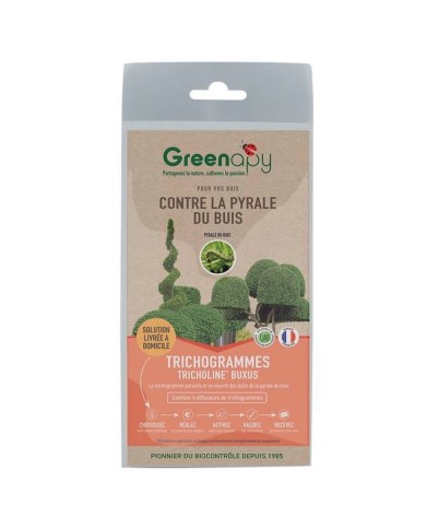 Kit Pyrale du buis - Phéromones Longue durée + Piège à entonnoir