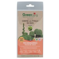Kit Pyrale du buis - Phéromones Longue durée + Piège à entonnoir