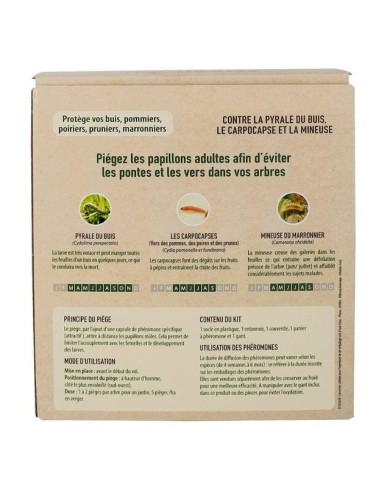 Kit Pyrale du buis - Phéromones Longue durée + Piège à entonnoir