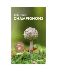 Champignons - Guide Nature